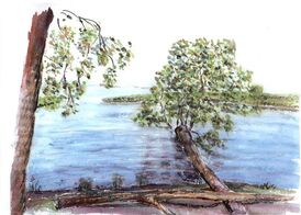 Das Gemälde „Achterwasser“ zeigt ein Naturschutzgebiet auf der Insel Usedom.